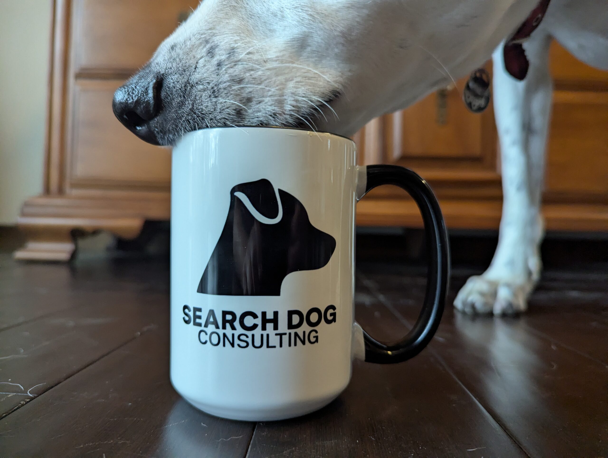 Simpson dog licking out of mug with Search Dog logo on it